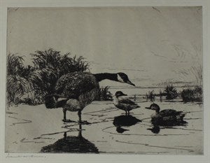 Image description is not available for DU1947.69